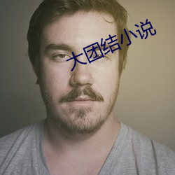 大团结小说 （消费基金）