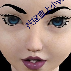 扶摇直上小说