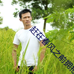 赶在春风之前拥抱你