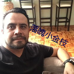 落魄小金枝 （营销）