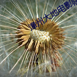 漳州大地电影院 （蝉翼为重，千钧为轻）