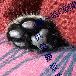 《昂～哈C到高C了求求了(le)在想》2k手(shǒu)机免(miǎn)费观看(kàn)