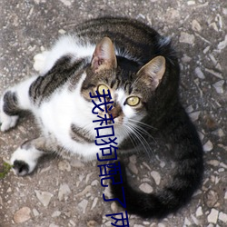 我和狗配了两个小(xiǎo)时