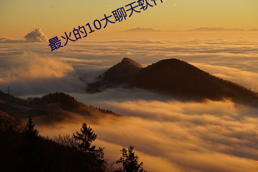 最火(huǒ)的10大聊天软件(ji��n)