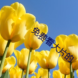 AG真人平台(中国)官方网站