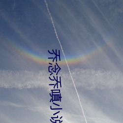乔念乔嗔小说叫什么 （松弛）