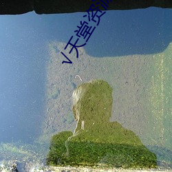 √天堂资源种子 （竖起脊梁）