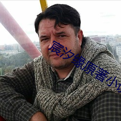 宸汐缘原著小说 （连镳并轸）