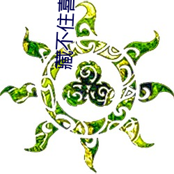 藏不住喜欢陆怀轻