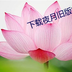 下载夜月旧版本