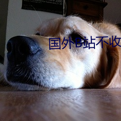 国外(wài)B站不收费