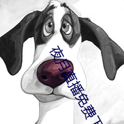 夜月直播免费下载