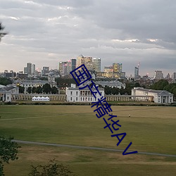 国产精华(huá)AⅤ