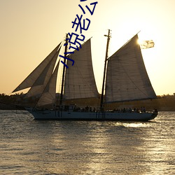 小说老公(公)