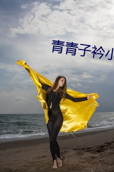 青青子(子)衿(衿)小(小)说