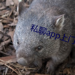 私聊(聊)app上门(門)