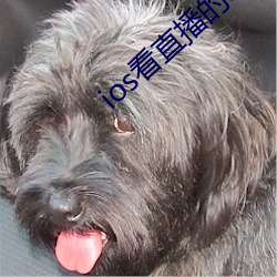 ios看直播的(de)app