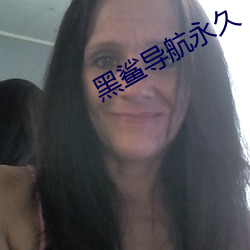 黑鲨导航永久