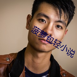 菠萝包(包)轻小说