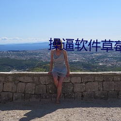操逼软(軟)件草莓视频