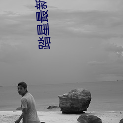 踏星最新章節