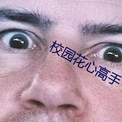 校園花心高手