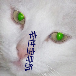 幸性宝导航