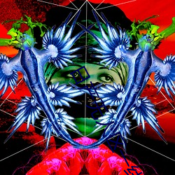 ղһ߶Ģ(ʶղһ߶