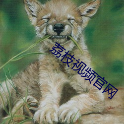 荔枝视频官网
