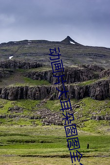 动画片大耳朵图图全集(集)下载(載)