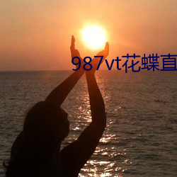 987vt花蝶直播下載