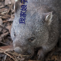 AG真人平台(中国)官方网站