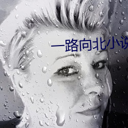 vwinӮ(й) - ٷվ