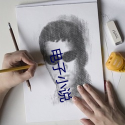 电子小说