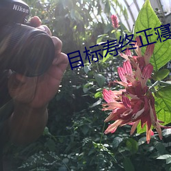 目(mù)标寿终正(zhèng)寝