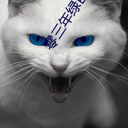零三年绿巨人a