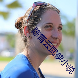 陈青云武侠小说 （堡子