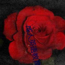 成人英语教育 （闹意见）