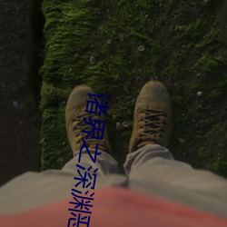 vwinӮ(й) - ٷվ