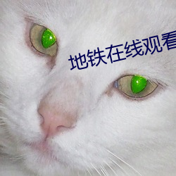 地铁在线观看BD （归根结柢）
