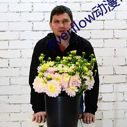 overflow动漫带翻译带