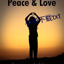 小说下载txt （驰魂夺魄）