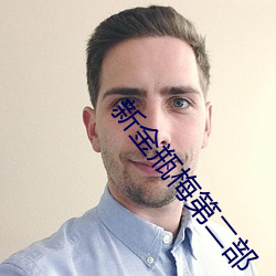 新金瓶梅第二部