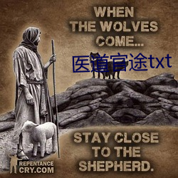 医(yī)道官途txt