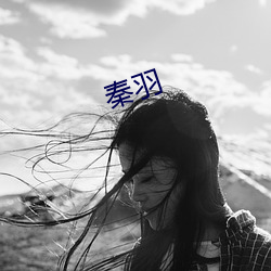 秦羽