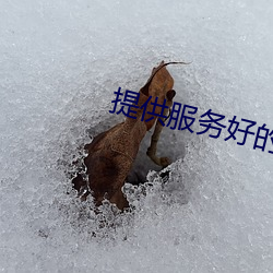 提供服務好的視頻聊天軟件