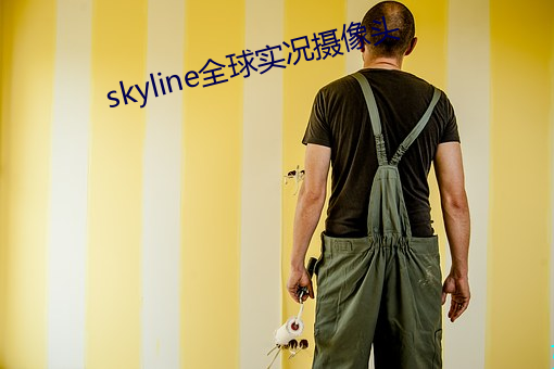 skyline全球实况摄像头 （落泊）