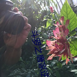 vwinӮ(й) - ٷվ