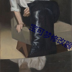 宝可梦修改器