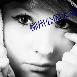 柳州公(g¨ng)园大爷大(d¨¤)妈开战